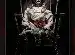 Annabelle Serisi Poster