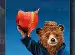 Ayı Paddington Serisi Poster