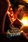 Dashing Through the Snow Film Posteri