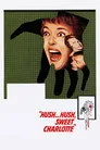 Hush... Hush, Sweet Charlotte Film Posteri