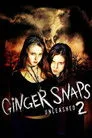 Kurtkızlar Serbest Kaldı Film Posteri