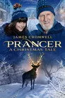 Prancer: Bir Noel Masalı Film Posteri