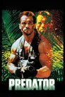 Av Film Posteri