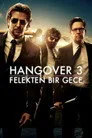 Hangover 3: Felekten Bir Gece Film Posteri