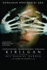 Kırılgan Film Posteri