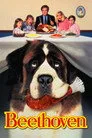 Afacan Köpek Beethoven Film Posteri