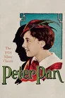 Peter Pan Film Posteri