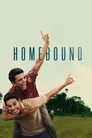 Eve Dönüş Film Posteri