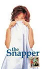 The Snapper Film Posteri
