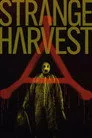 Strange Harvest Film Posteri