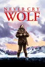 Never Cry Wolf Film Posteri