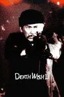 Vahşi Kin Film Posteri