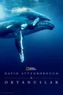 David Attenborough ile Okyanuslar Film Posteri