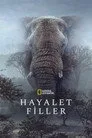 Hayalet Filler Film Posteri