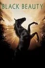 Siyah İnci Film Posteri