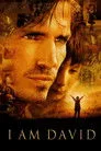 Adım David Film Posteri