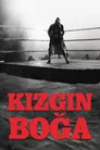 Kızgın Boğa Film Posteri