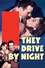 They Drive by Night Film Posteri