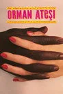 Orman Ateşi Film Posteri