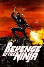 Revenge of the Ninja Film Posteri