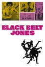 Black Belt Jones Film Posteri