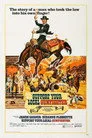 Silahşörü Destekleyin Film Posteri