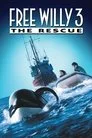 Özgür Willy 3 Film Posteri
