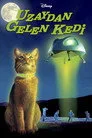 Uzaydan Gelen Kedi Film Posteri