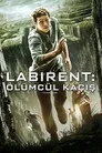 Labirent: Ölümcül Kaçış Film Posteri