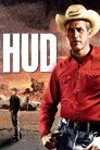 Çılgınların Günahı Film Posteri