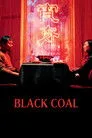 İnce Buz, Kara Kömür Film Posteri