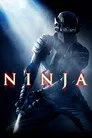 Ninja Film Posteri