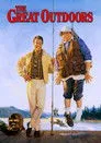 Zırdeli Bacanaklar Film Posteri