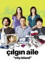 Çılgın Aile Film Posteri