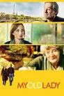 Beklenmedik Misafir Film Posteri