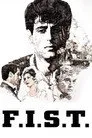 Kamyoncu Film Posteri