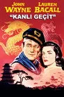 Kanlı Geçit Film Posteri
