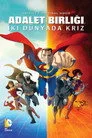 Adalet Birliği: İki Dünyada Kriz Film Posteri