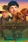Kırmızı Eğrelti Otunun Büyüdüğü Yer Film Posteri
