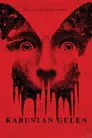 Kabustan Gelen Film Posteri