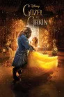 Güzel ve Çirkin Film Posteri
