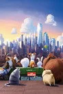 Evcil Hayvanların Gizli Yaşamı Film Posteri