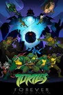 Turtles Forever Film Posteri
