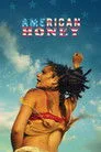 American Honey Film Posteri