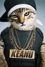 Keanu Film Posteri