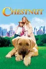 Kahraman Köpek Film Posteri