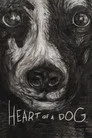 Heart of a Dog Film Posteri