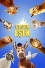 Cesur Eşek Film Posteri