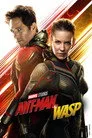 Ant-Man ve Wasp Film Posteri