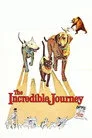 The Incredible Journey Film Posteri